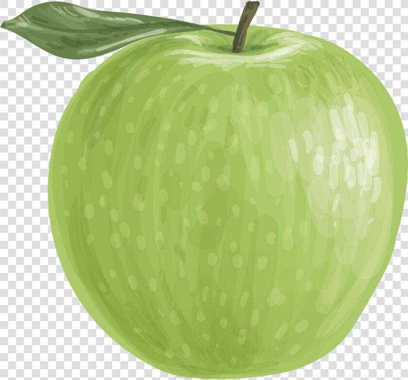 Vector Green Apple Png Download   Granny Smith  Transparent PngTransparent PNG