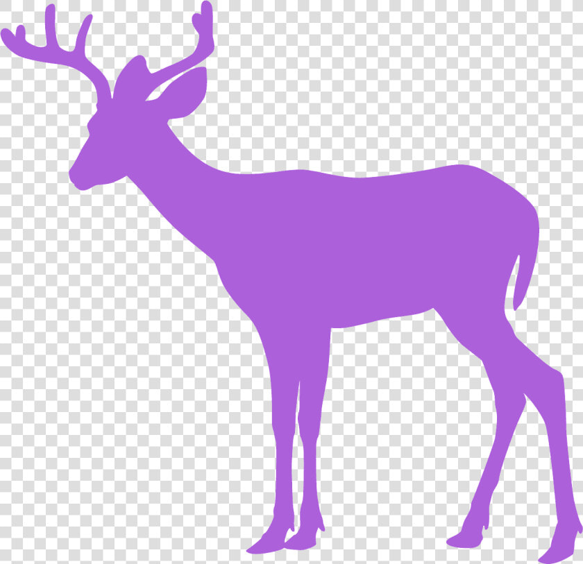 Whitetail Deer Deer Silhouette Clipart  HD Png DownloadTransparent PNG