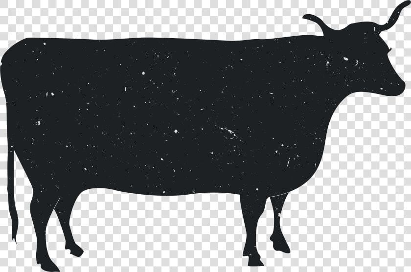 Animal Silhouette Dairy Cattle   Cow Silhouette Png  Transparent PngTransparent PNG