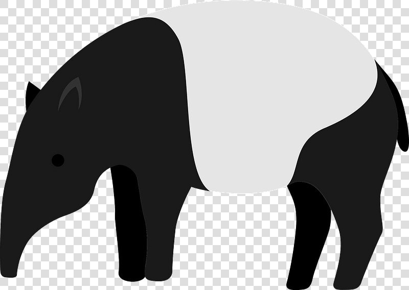 Tapir Animal Clipart   Tapir  HD Png DownloadTransparent PNG