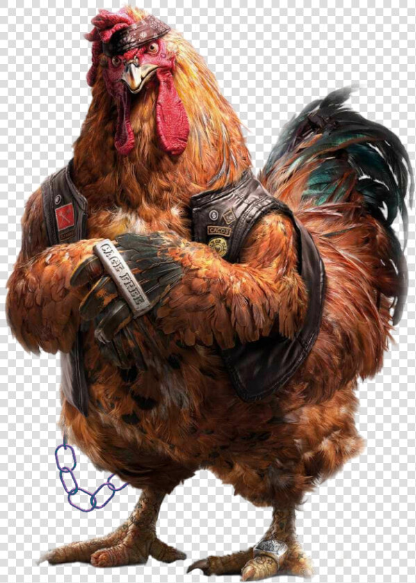  gallina  aves  avesdecorral  animales  gigante  comida   Sisi Lain Dunia  HD Png DownloadTransparent PNG