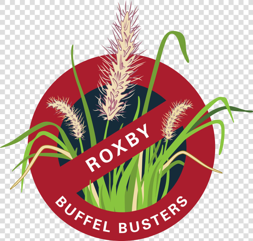 Buffel Grass Drawing   Png Download   Illustration  Transparent PngTransparent PNG