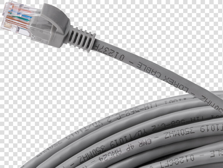 Cat5e Printed On Cable  HD Png DownloadTransparent PNG