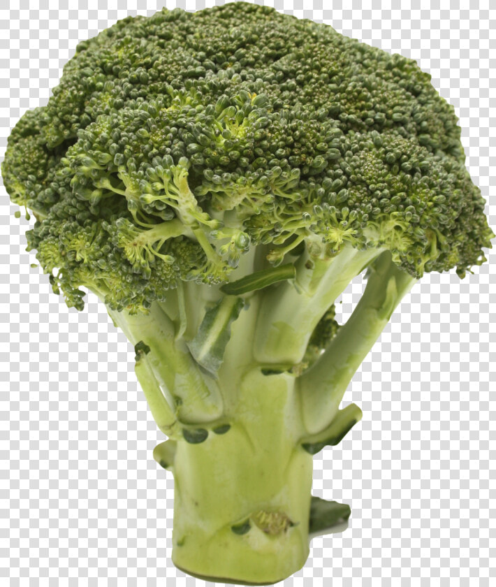 Cruciferous vegetables   Broccoli Transparent  HD Png DownloadTransparent PNG