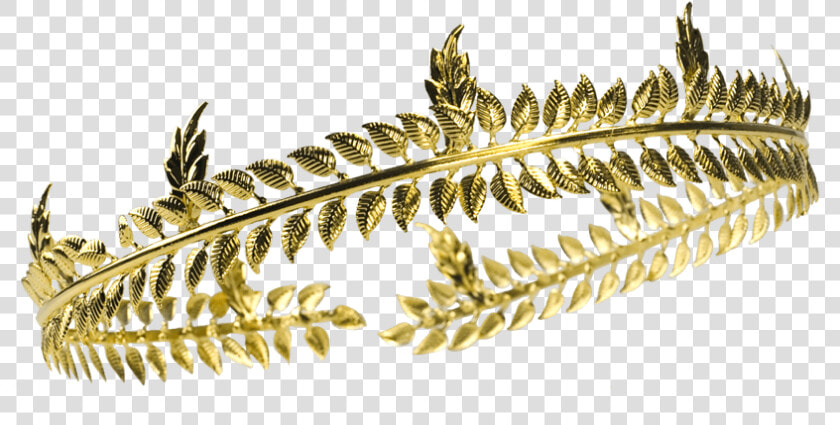 Roman Laurel Crown   Laurel Wreath Crown Png  Transparent PngTransparent PNG