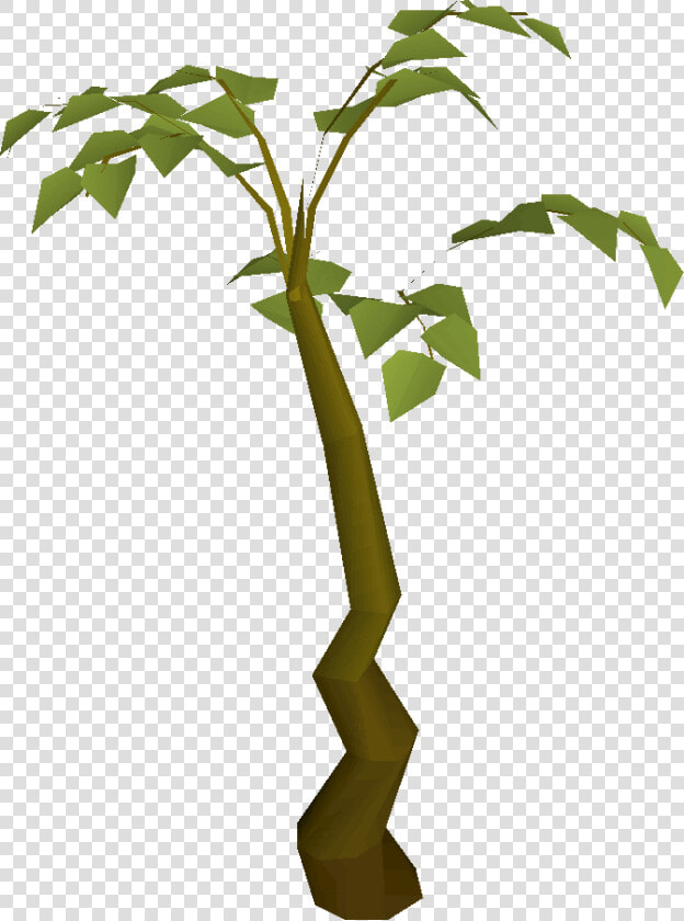 Transparent Children Planting Clipart   Tall Plant Clipart  HD Png DownloadTransparent PNG