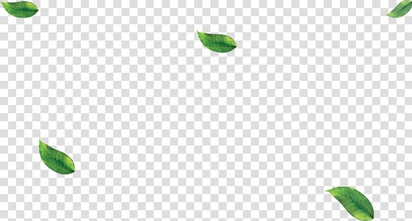 Falling Green Leaves Png   Green Leaves Png  Transparent PngTransparent PNG