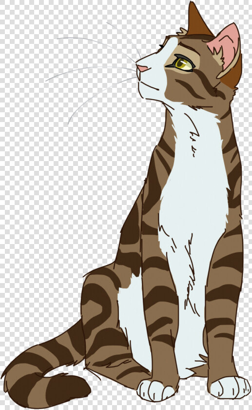 Warrior Cats Drawings Leafpool  HD Png DownloadTransparent PNG