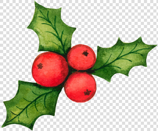 Holly Leaf Christmas Decorations Vector Material Illustration   Christmas Decorations Vector  HD Png DownloadTransparent PNG