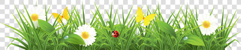 Cb Editing Grass Png Sample 2 Cb Editing Nature Png   Cartoon Grass Png  Transparent PngTransparent PNG