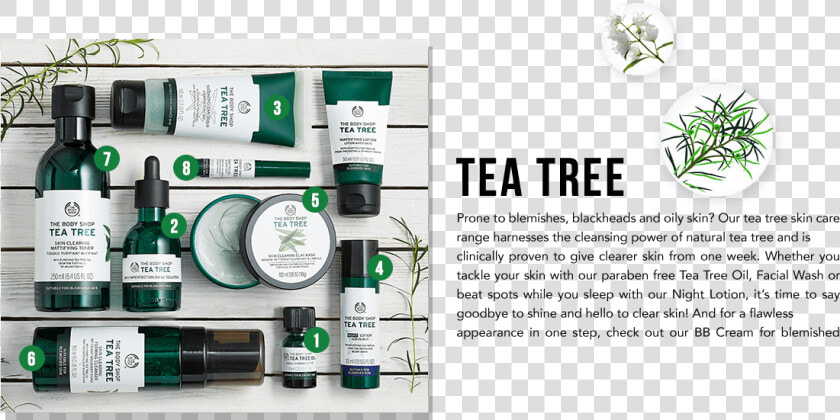 Transparent Tea Tree Png   Body Shop Tea Tree Oil Line  Png DownloadTransparent PNG