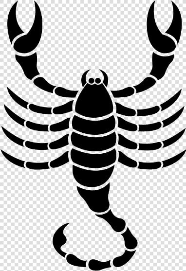 Scorpio Astrological Sign Astrology Zodiac Astrological   Zodiac Signs Symbols Scorpio  HD Png DownloadTransparent PNG