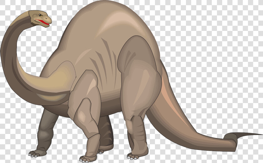 Transparent Dinosaur Bones Png   Brontosaurus Clipart  Png DownloadTransparent PNG