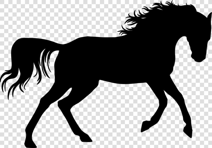 Dressage Horse Silhouette  HD Png DownloadTransparent PNG