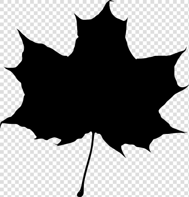 Maple Leaf Silhouette Transparent Png   Maple Leaf Silhouette Png  Png DownloadTransparent PNG