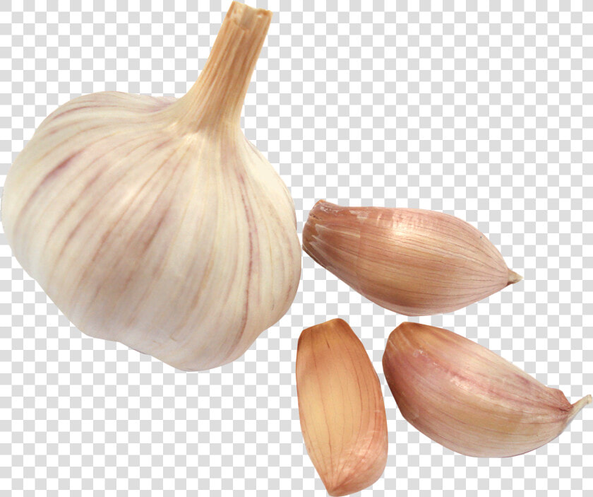 Garlic Png   Transparent Background Png Png Cloves Garlic  Png DownloadTransparent PNG