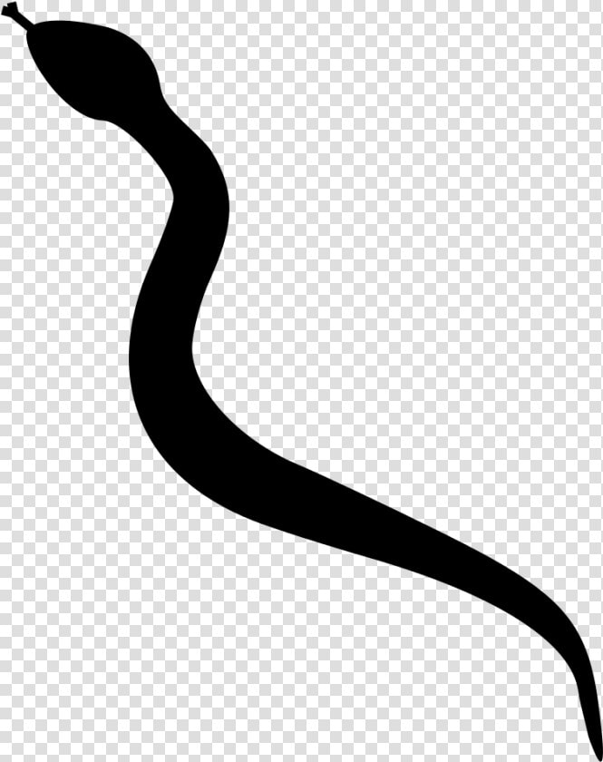 Snake Clipart Silhouette   Long Snake Silhouette  HD Png DownloadTransparent PNG