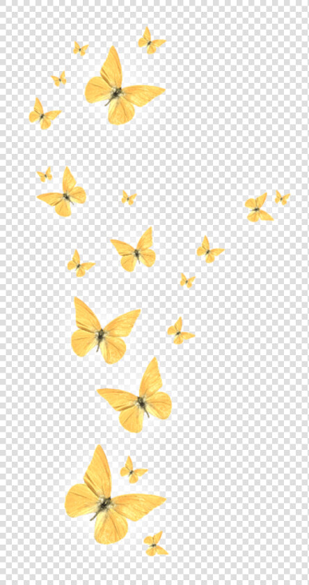 Transparent Gold Butterfly Png   Picsart Light Butterfly Png  Png DownloadTransparent PNG