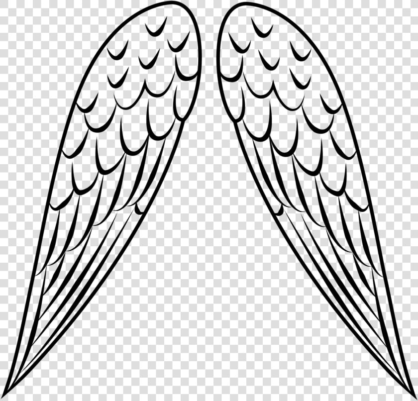 Simple Wing Vector Free Stock Huge Freebie Download   Simple Bird Wings Drawing  HD Png DownloadTransparent PNG