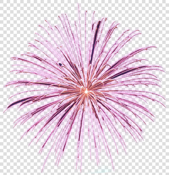 Free Animated Fireworks Gifs Clipart And Firework Animations   Animated Firework Gif Png  Transparent PngTransparent PNG