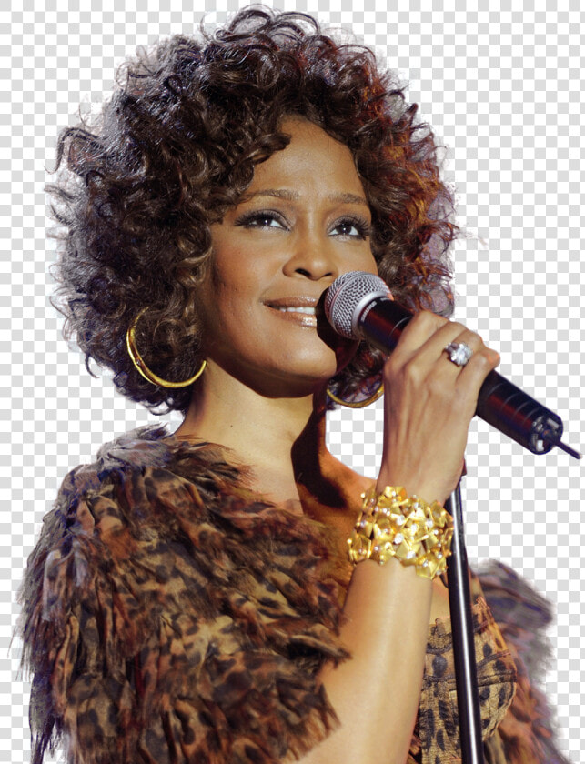 Whitney Houston Pre Grammy 2009   Png Download   Whitney Houston  Transparent PngTransparent PNG