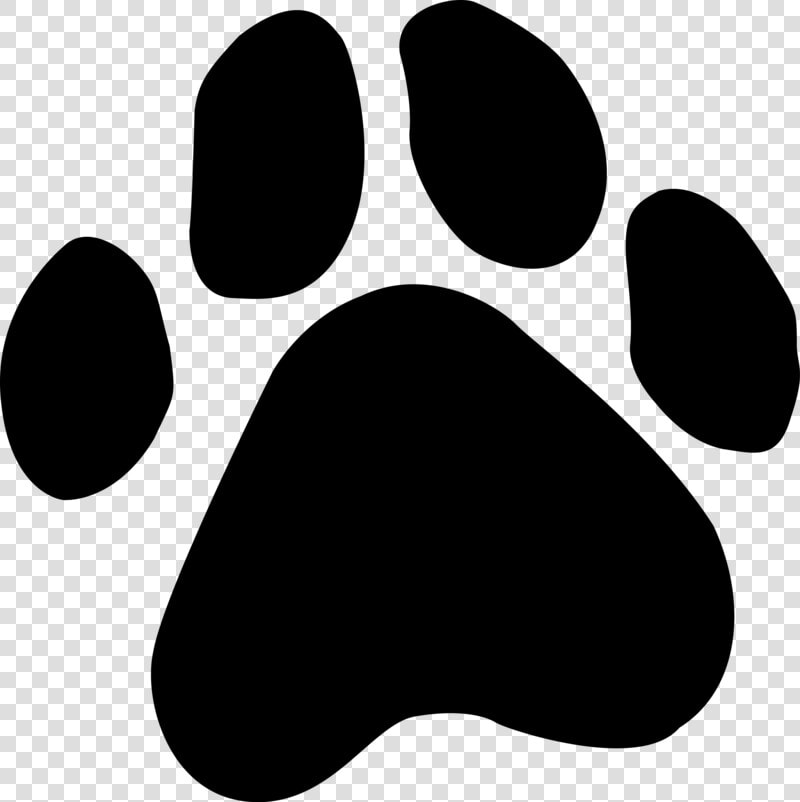 Jack Russell Paw Print  HD Png DownloadTransparent PNG