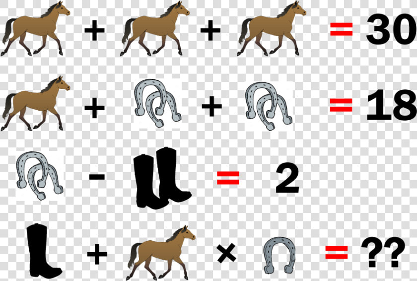 Respuesta Acertijo Caballos  Botas Y Herraduras   Png   Phillip Island  Transparent PngTransparent PNG