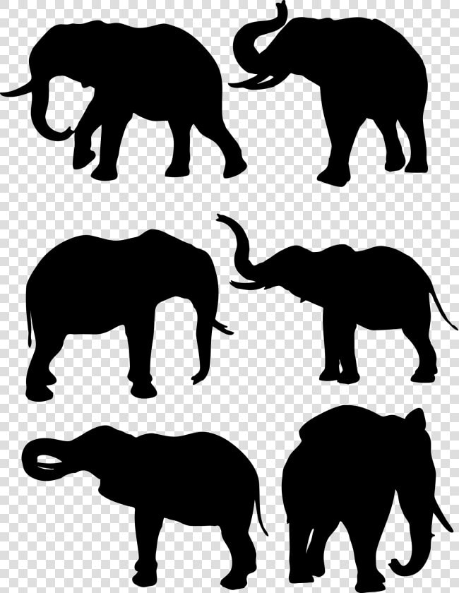 African Elephant Drawing   Elephant Silhouette  HD Png DownloadTransparent PNG