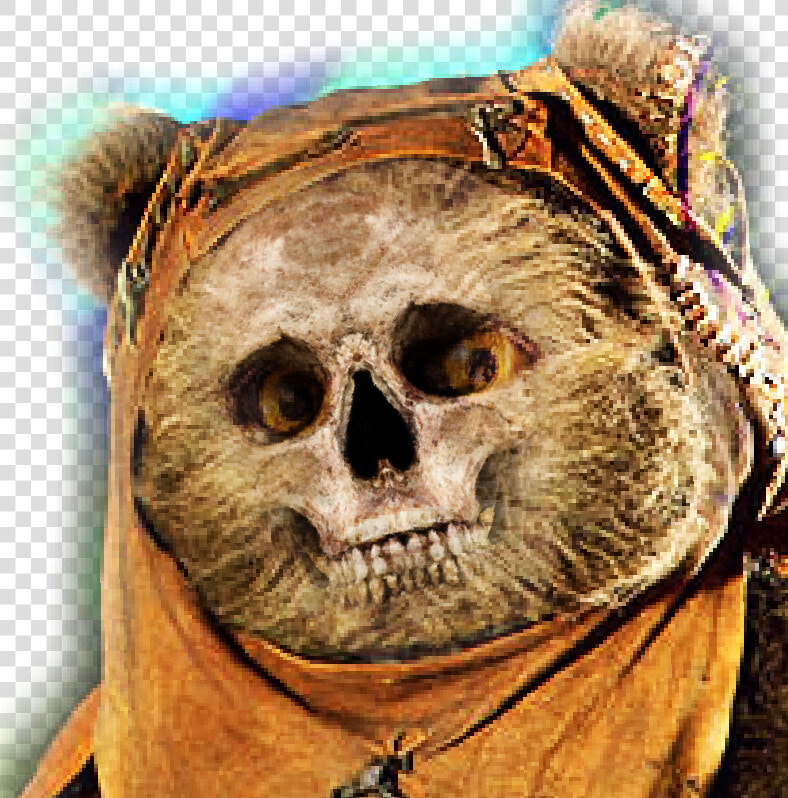 Funny Ewok  HD Png DownloadTransparent PNG