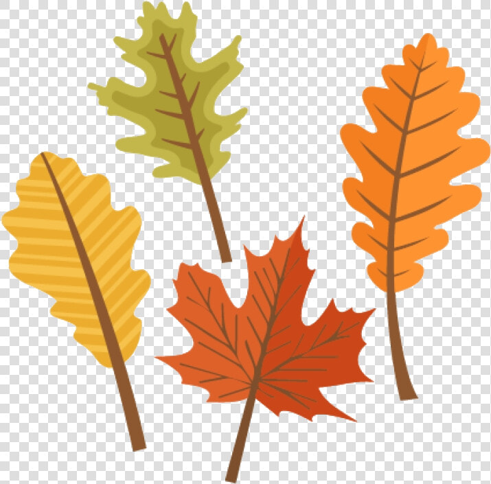 Orange Leaf Fall Leaves Clip Art Cute Autumn Clipart   Transparent Background Fall Leaves Clipart  HD Png DownloadTransparent PNG