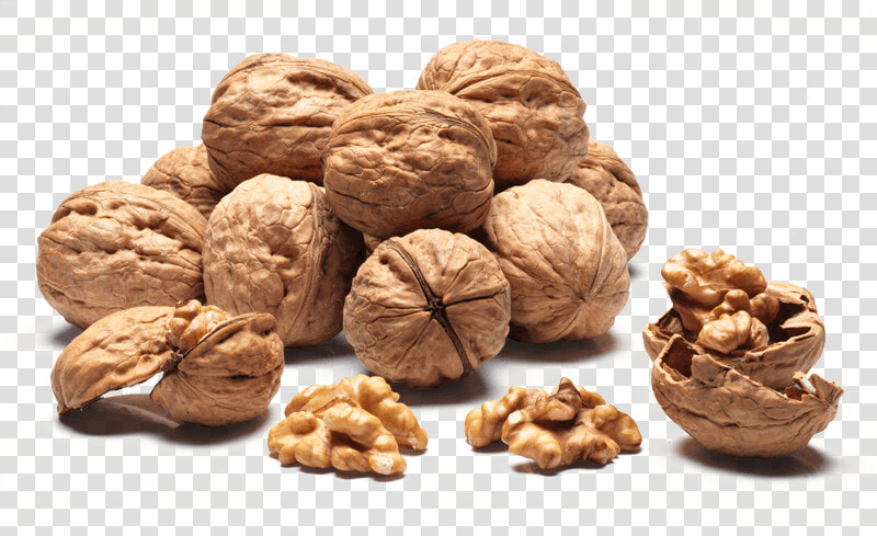 Walnuts Sorrento   Walnut  HD Png DownloadTransparent PNG