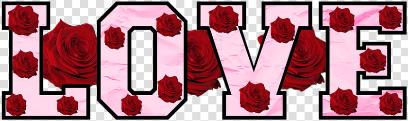 Love  Roses  Text  Flowers  Floral  Petal  Valentine   Garden Roses  HD Png DownloadTransparent PNG