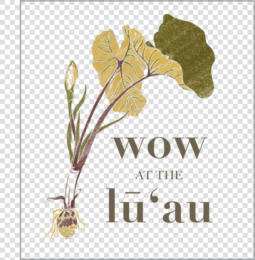 Wow Luau   Vẽ Cây Khoai Môn  HD Png DownloadTransparent PNG