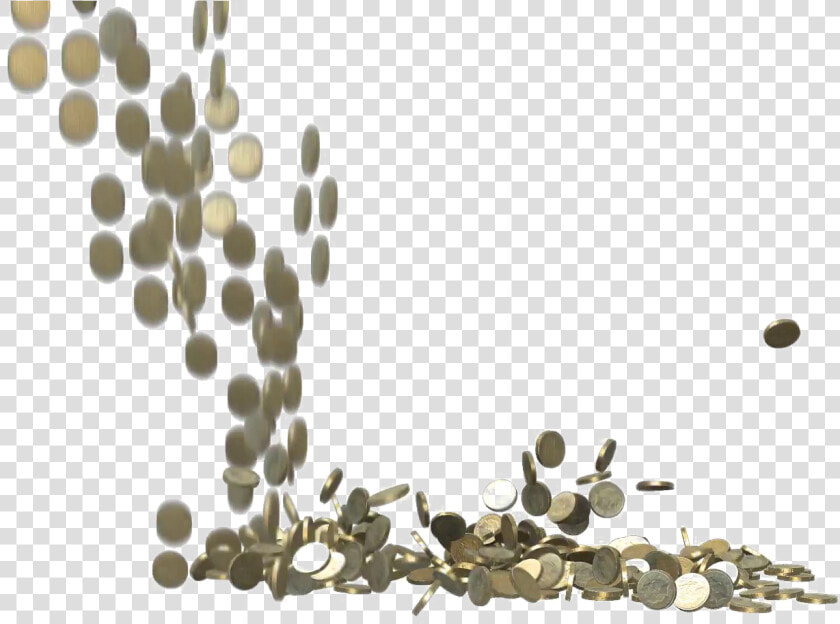 Falling Coins Transparent Images Png   Acacia Greggii  Png DownloadTransparent PNG