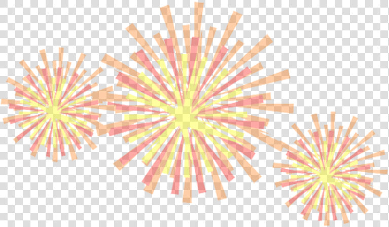 Fireworks Animation Clip Art   Firework Gif Transparent Background  HD Png DownloadTransparent PNG