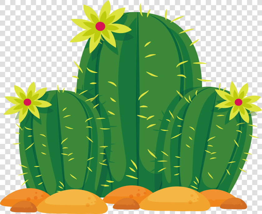 Cactaceae Sonoran Desert Euclidean Vector   Imagens De Cacto Em Png  Transparent PngTransparent PNG