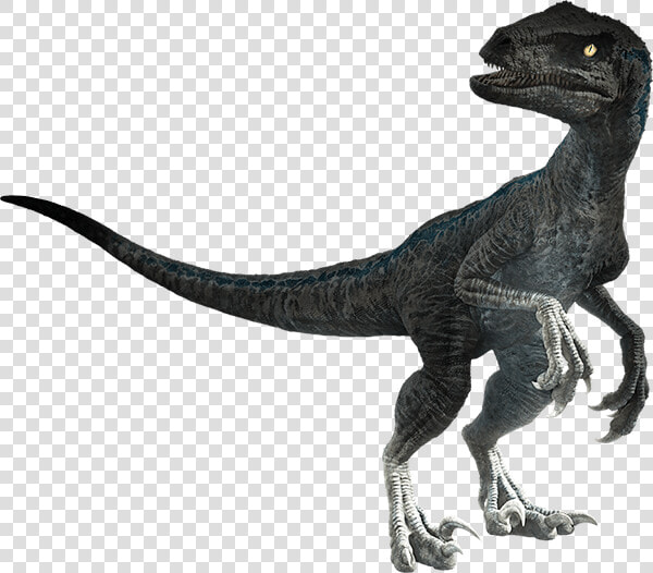 Transparent Jurassic World Dinosaurs Png   Jurassic World Fallen Kingdom Render  Png DownloadTransparent PNG