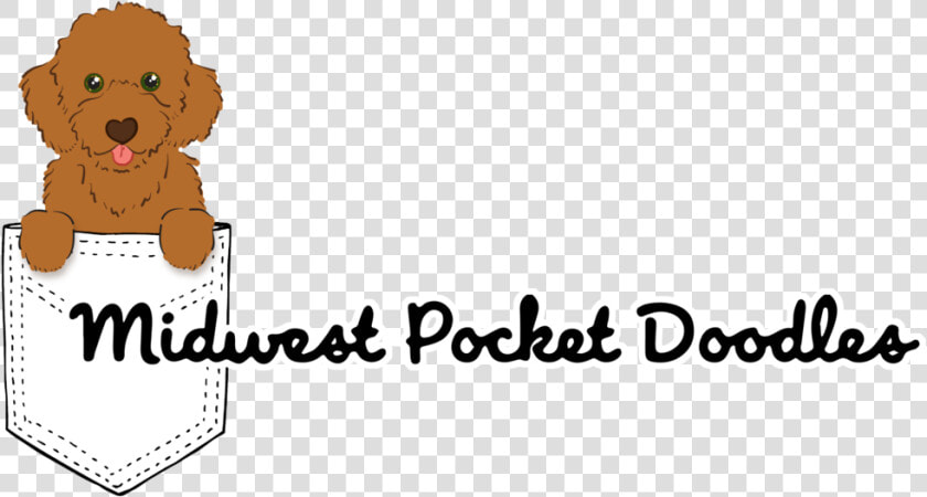 Midwest Pocket Doodles 2   Cartoon  HD Png DownloadTransparent PNG