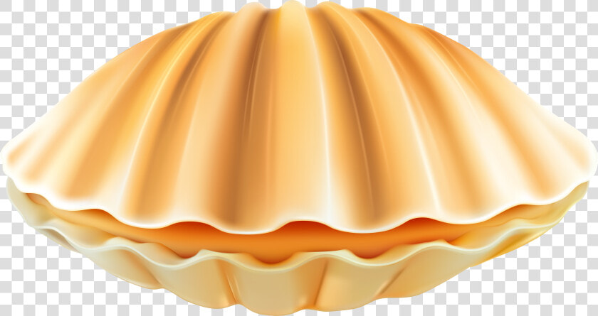 Shell Png Clip Art   Clam Shell Png  Transparent PngTransparent PNG