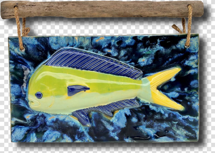 Transparent Mahi Mahi Png   Coral Reef Fish  Png DownloadTransparent PNG