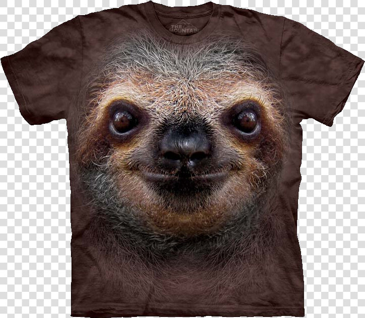 Sloth Face Png   Sloth Face Shirt  Transparent PngTransparent PNG