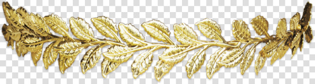  crown  gold  golden  leaf  head   Gold Leaf Crown Png  Transparent PngTransparent PNG