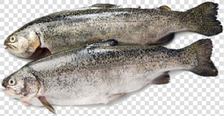 Fish Products Rainbow Trout Sardine   Trout  HD Png DownloadTransparent PNG