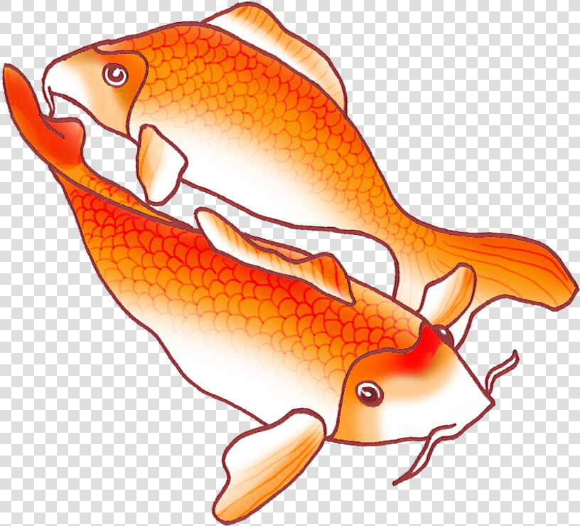 Two Fish Png   Orange Koi Fish Drawing  Transparent PngTransparent PNG