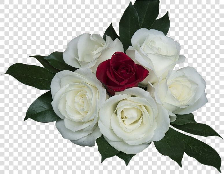 Emoción  Rosas  Rosa Blanco  Ramo  Amor   Rosa Branca Em Png  Transparent PngTransparent PNG