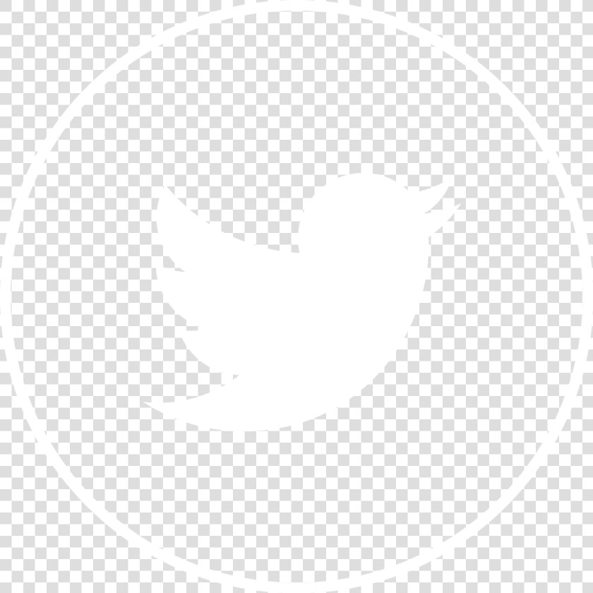 Dark Blue Twitter Logo   Png Download   Hq Twitter Logo  Transparent PngTransparent PNG