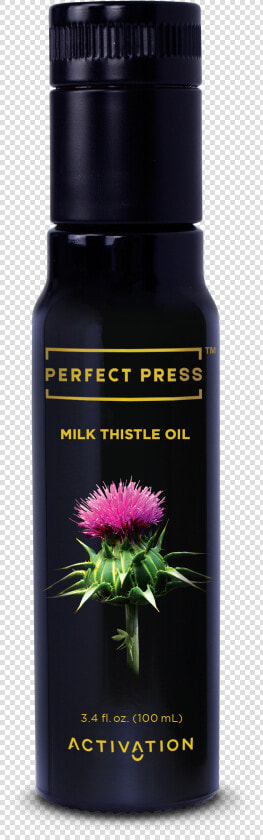 Thistle Png  Transparent PngTransparent PNG