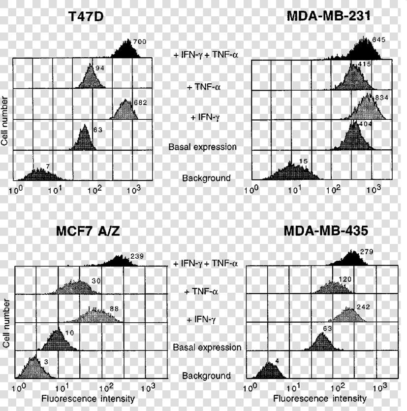 Mhc Expression Cell Lines  HD Png DownloadTransparent PNG