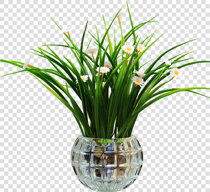 Small Fresh Indoor Potted Plant Simulation Living Room   Pogostemon Stellatus Eusteralis Stellata  HD Png DownloadTransparent PNG