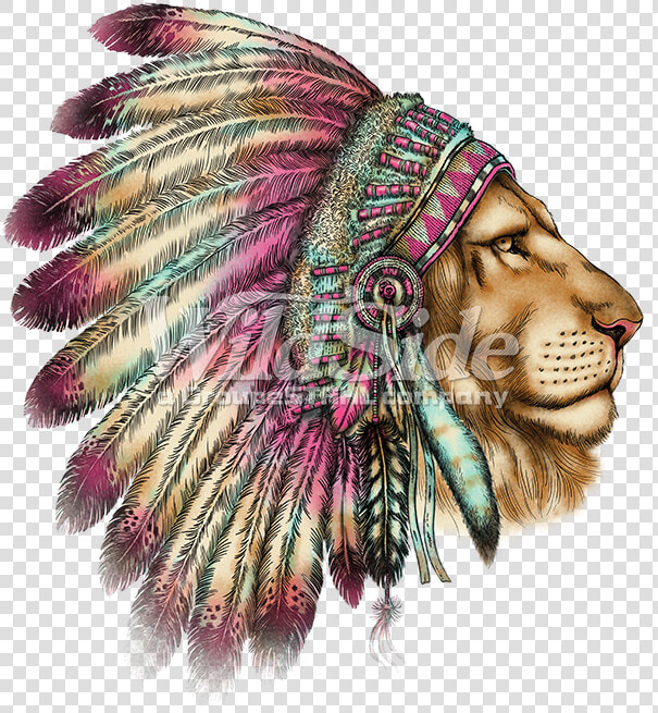 Indian Feather Png   Lion Wearing Indian Headdress  Transparent PngTransparent PNG